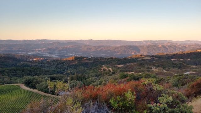Pine Mountain Vineyards & Winery