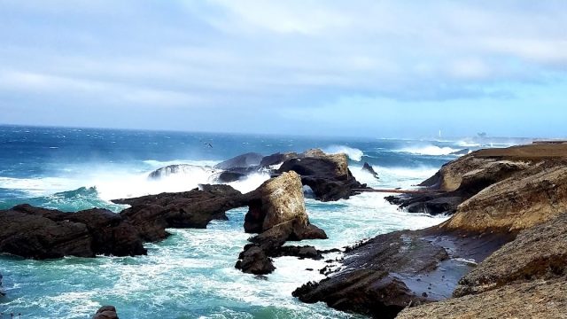 Point Arena