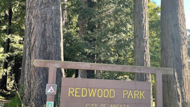 Redwood Park
