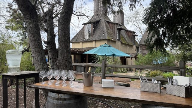 Russian River Vineyards