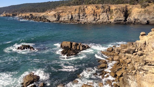Salt Point State Park