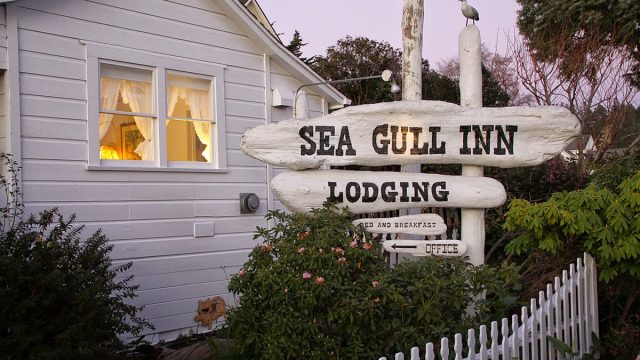 Seagull Inn Bed and Breakfast