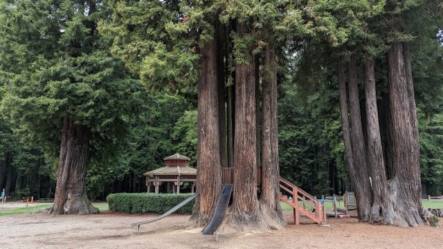 Sequoia Park