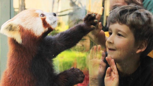 Sequoia Park Zoo