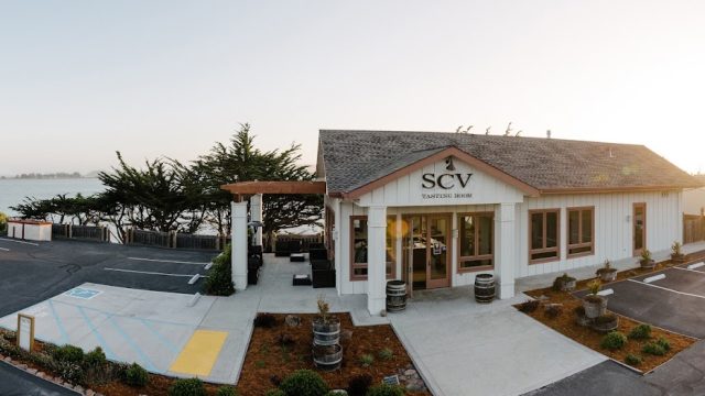 Sonoma Coast Vineyards