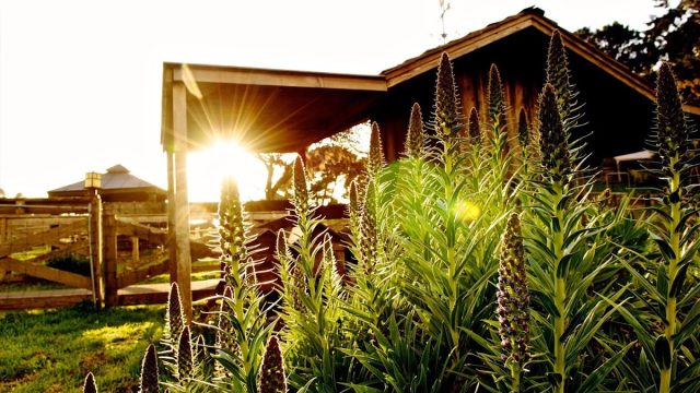 Stanford Inn & Resort on the Mendocino Coast