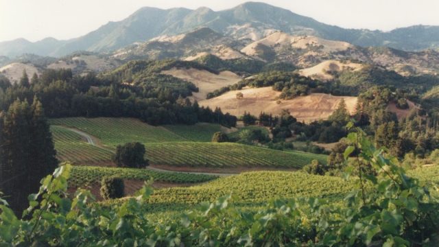 Storybook Mountain Winery
