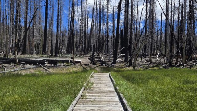 Summit Lake Campground