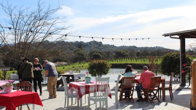 Taste of Redwood Valley