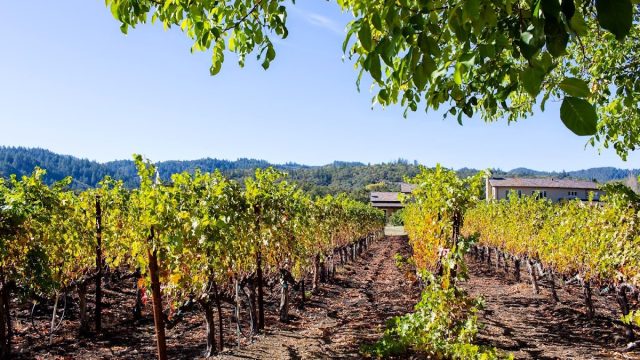Tedeschi Family Winery – Napa Valley, CA