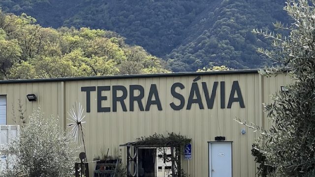 Terra Sávia Organic Winery & Olive Mill