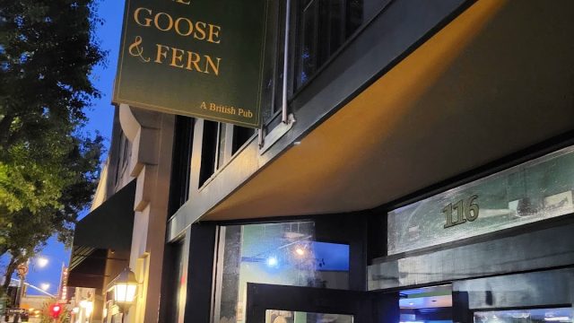 The Goose & Fern