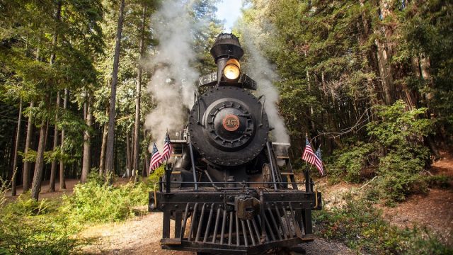 The Skunk Train