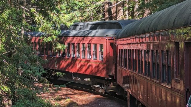 The Skunk Train