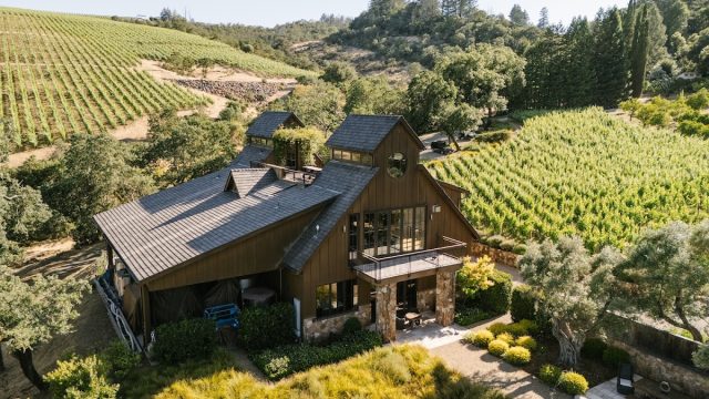 The Vineyardist
