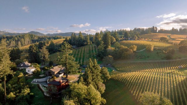 Theorem Vineyards