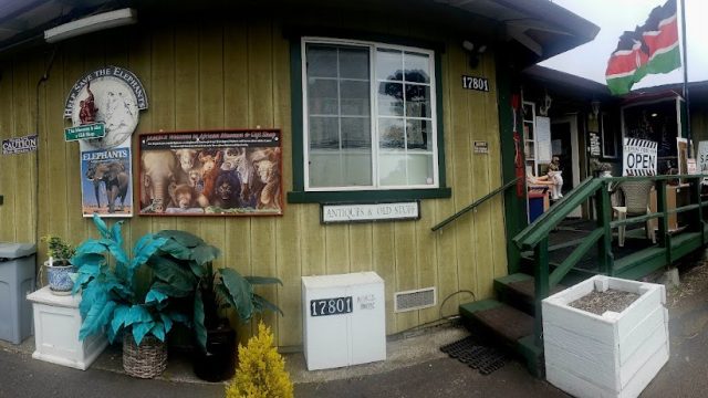 Thrift Elephant