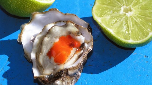 Tomales Bay Oyster Company