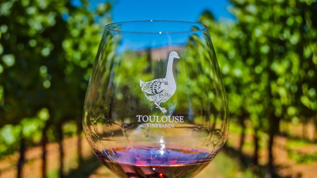 Toulouse Vineyards & Winery