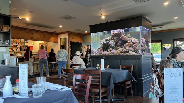 Umami – Sushi and Japanese Kitchen