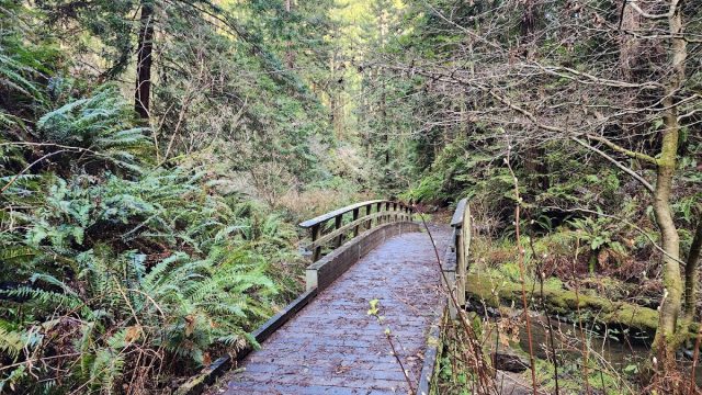 Van Damme State Park