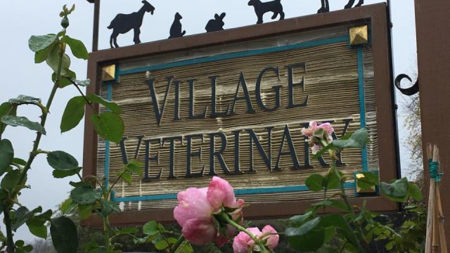 Village Veterinary