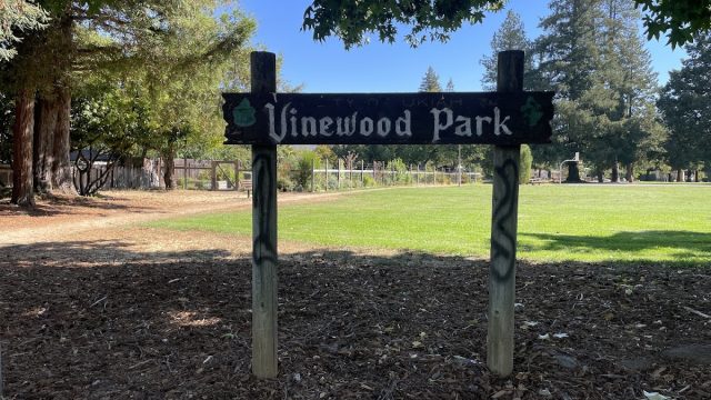 Vinewood Park