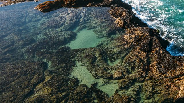 Visit Fort Bragg California