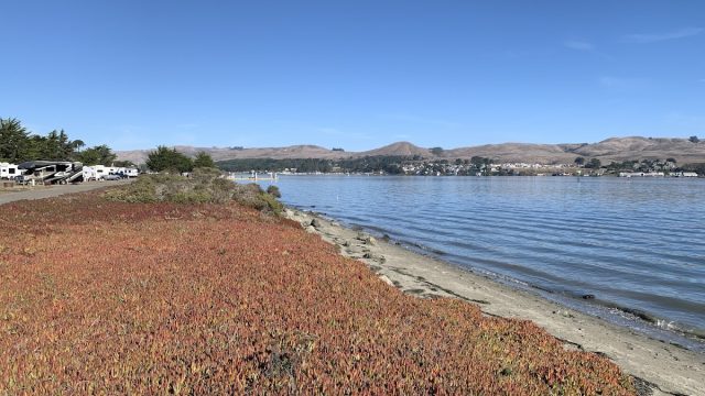 Westside Regional Park and Campground