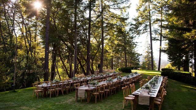 Wild Iris Retreat