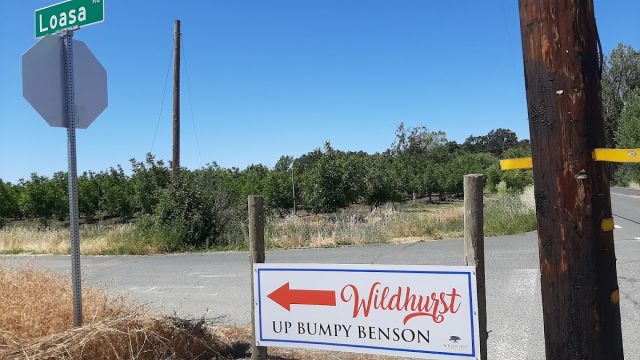 Wildhurst Vineyards