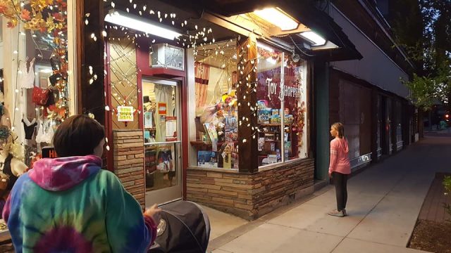 Willits Enchanted Toy Shoppe